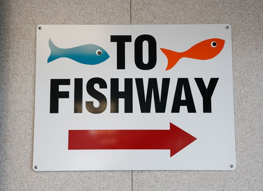 6_Zawistowski CT Holyoke fish elevator 051826-3528.jpg